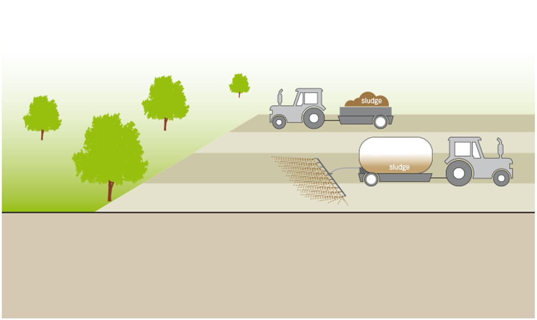 Industrial Sludge Application on Soil Nitrogen and Wheat Plant Response